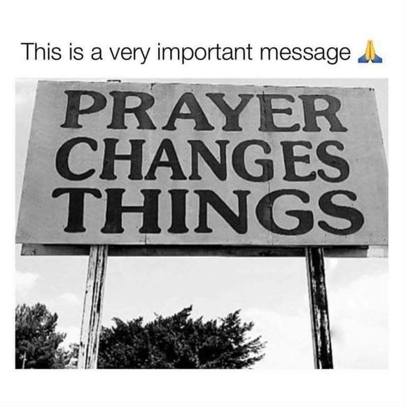 Meet your Posher, Beverly - Picture 1 of 1